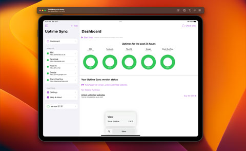 Pulsely Uptime Sync
